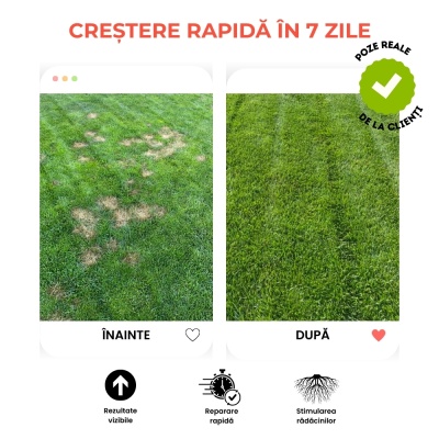 Greenax Spot Repair kit pentru repararea golurilor din gazon cu semințe, îngrășământ și mulch, 1.5 kilograme, 15 pete - Img 6