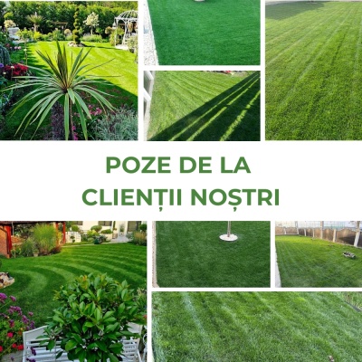 Semințe de gazon profesionale Padana© Extreme Blue, 10 kg, acoperire 350 metri pătrați întreținere redusă, rădăcini rizomate - Img 7