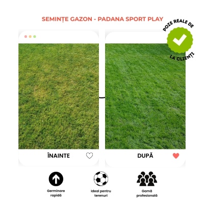 Semințe de gazon profesionale Padana© SportPlay, 1 kg, verde închis, rezistență la seceta, rezistență la călcare, permite tăieri joase - Img 5