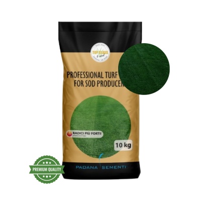 Semințe de gazon profesionale Padana© SportPlay, 10 kg, verde închis, rezistență la seceta, rezistență la călcare, permite tăieri joase