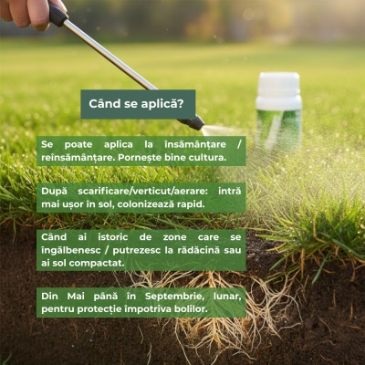 Fungicid BIO cu Trichoderma&Micorize Tricoferti, protecție la Rhizoctonia, Sclerotinia și Pythium, 250 ml - Img 3