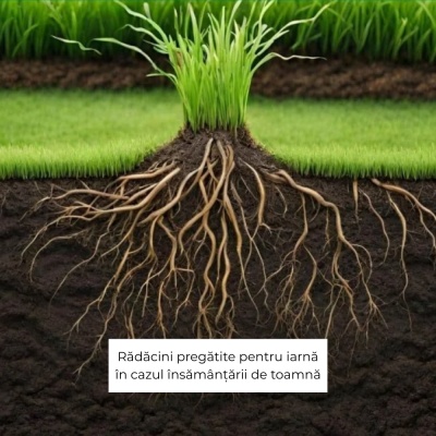 Greenax ROOTPOWER – Îngrășământ foliar gazon 1 L cu acizi humici & fulvici, azot și materie organică, pentru înrădăcinare rapidă - Img 5