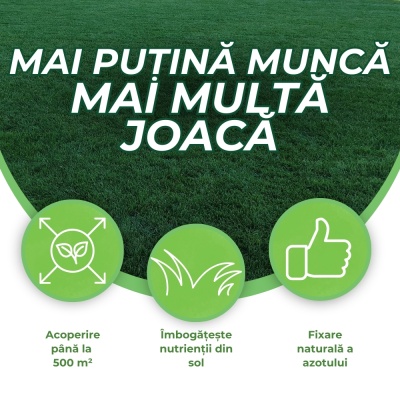 Mixt semințe de trifoi pitic alb, înflorire intensă primăvara și vara, 0,5 kg - Img 4