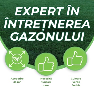 Semințe de gazon profesionale Padana© Extreme Blue, 1 kg, acoperire 35 metri pătrați întreținere redusă, rădăcini rizomate - Img 6