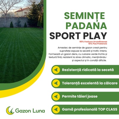 Semințe de gazon profesionale Padana© SportPlay, 1 kg, verde închis, rezistență la seceta, rezistență la călcare, permite tăieri joase - Img 2