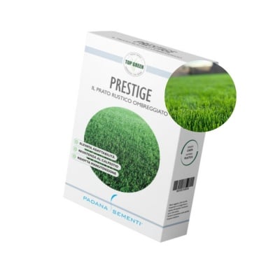 Semințe de gazon profesionale Padana Prestige, 1kg, acoperire 35 metri pătrați, pentru parcuri și spațiii verzi, gazon dens și uniform, cu întreținere redusă