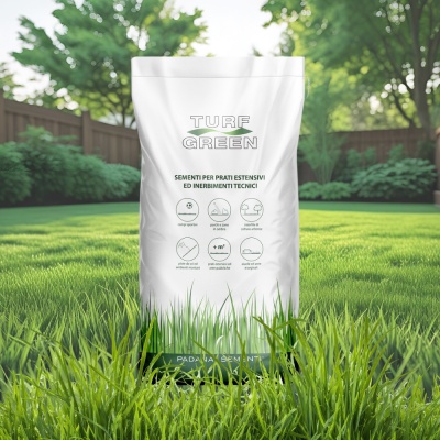 Semințe gazon pentru soare Padana Sun Seed 10 kg, rezistență la secetă, gazon verde intens - Img 5