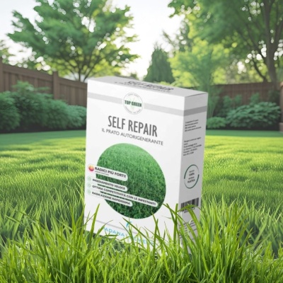 Semințe profesionale pentru gazon Sport cu AutoRegenerare RPR, Padana Self Repair, origine SUA, 1 kg - Img 8