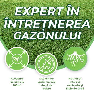 Greenax Spring & Summer – Îngrășământ Gazon 2,5 kg, NPK 20-5-8 + Fe cu Eliberare Controlată, Nutriție Continuă până la 3 Luni, Acoperire până la 100 m² - Img 4