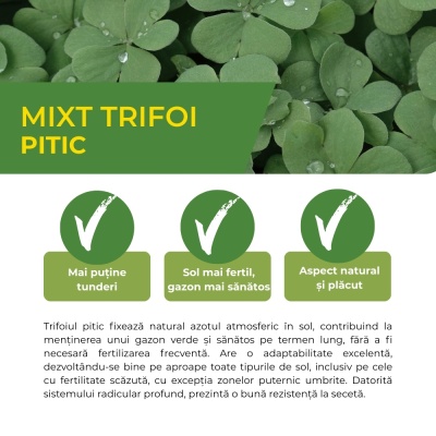 Mixt semințe de trifoi pitic, întreținere redusă, 0,5 kg - Img 3