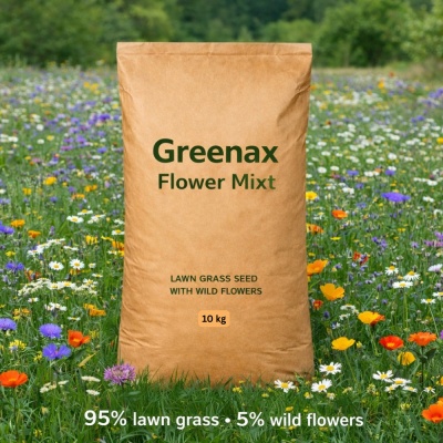 Semințe de gazon cu flori Greenax Flower Mixt 10 kg