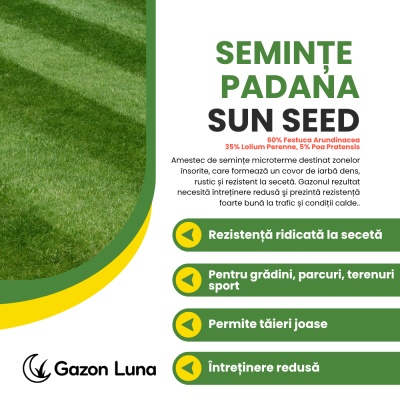 Semințe gazon pentru soare Padana Sun Seed 10 kg, rezistență la secetă, gazon verde intens - Img 2