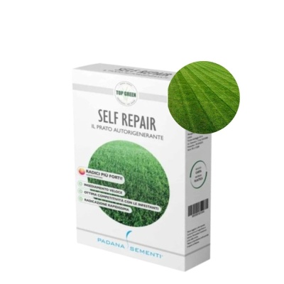 Semințe profesionale pentru gazon Sport cu AutoRegenerare RPR, Padana Self Repair, origine SUA, 1 kg