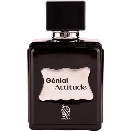Genial Attitude Nylaa 100 ml, eau de parfum, men