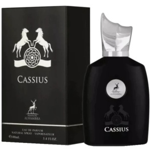 Cassius Maison Alhambra 100 ml, eau de parfum, men - Img 5