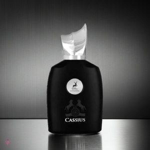 Cassius Maison Alhambra 100 ml, eau de parfum, men - Img 7