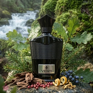 Venti Absolu Fragrance World 100 ml, apa de parfum, barbati - Img 5