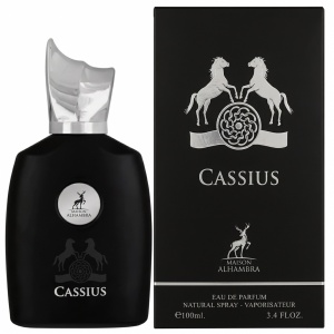 Cassius Maison Alhambra 100 ml, eau de parfum, men - Img 2