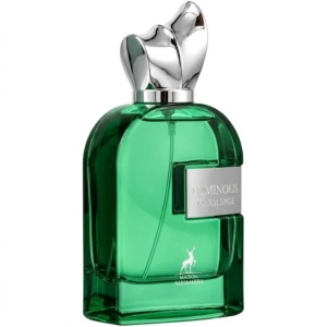 Luminous Warm Sage Maison Alhambra 100 ml, apa de parfum, barbati - Img 4