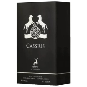 Cassius Maison Alhambra 100 ml, eau de parfum, men - Img 6