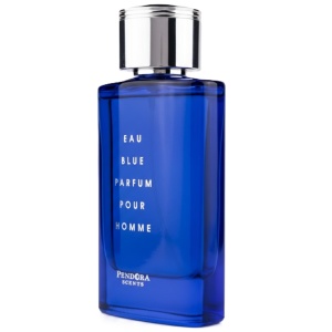 Eau Blue Parfum Pour Homme Pendora Scents 100 ml, eau de parfum, men - Img 3