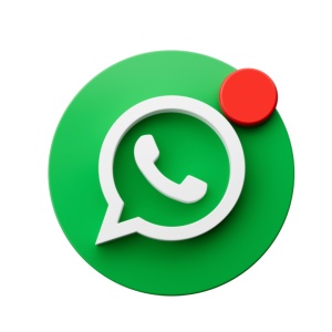 WhatsApp: mesaj la procesare - Img 1