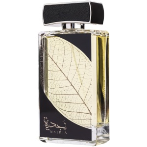 Najdia Silver Lattafa 100 ml, apa de parfum + 50 ml deodorant spray, barbati - Img 4