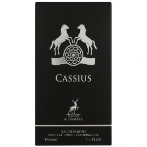 Cassius Maison Alhambra 100 ml, apa de parfum, barbati - Img 3