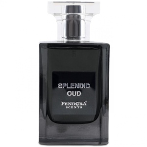 SPLENDID OUD Pendora Scents 100 ml