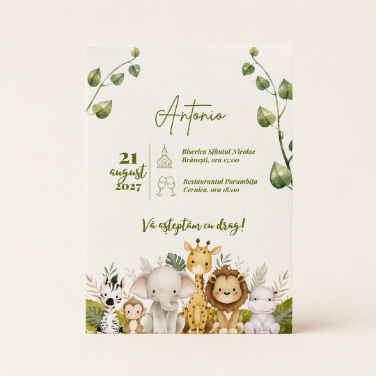 Invitatii botez