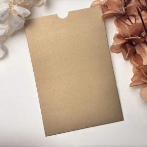 Plic auriu 14x20.5cm, Z13325
