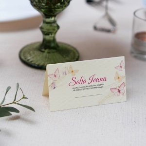 Plic pentru bani de botez butterfly 900426, 9, Creativ.ro
