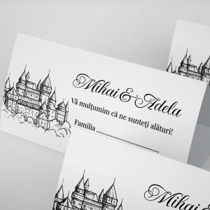 Plic pentru bani, model castel, 95781, 10, Creativ.ro