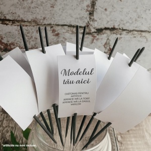 Cartonas personalizat pentru artificii 50x90mm