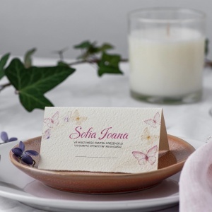 Plic pentru bani de botez butterfly 900426