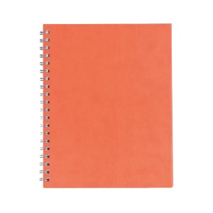 Agenda nedatată Premier, 20.5 x 26 cm, 12, Creativ.ro