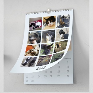 Calendar personalizat cu fotografii, 4, Creativ.ro