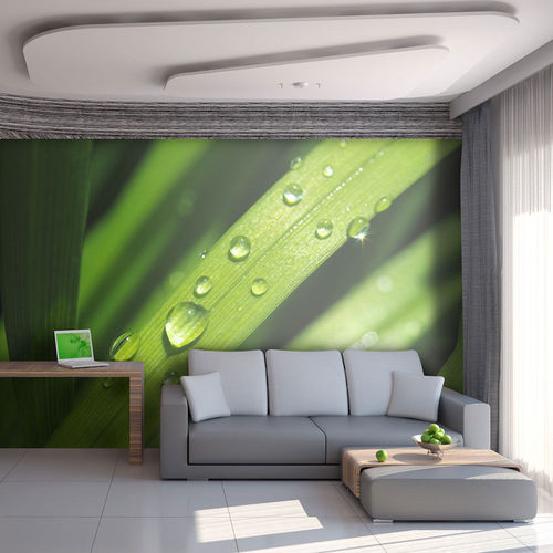 Fotótapéta - Dewdrops on leaves