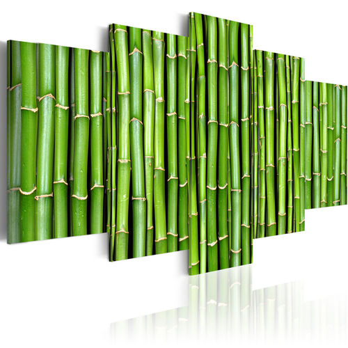Kép - Bamboo- harmony and simplicity