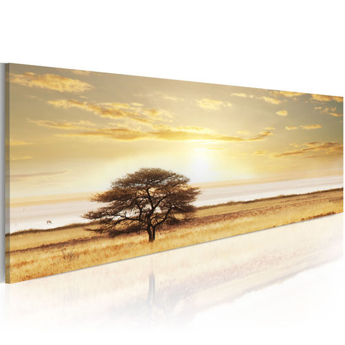 Kép - Lonely tree on savannah