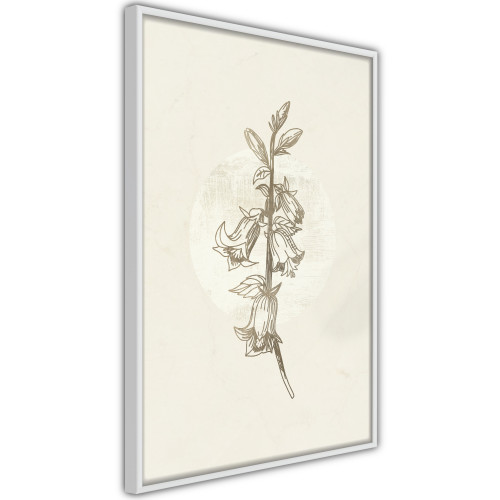 Plakát - Beige Campanula