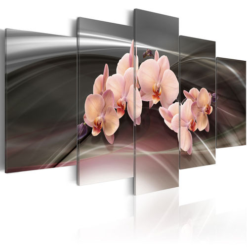 Kép - A pink orchid on a dark background