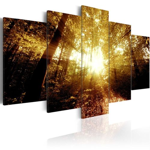 Kép - Autumn Forest