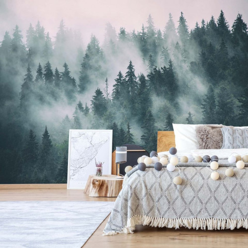 Forest in the Mist