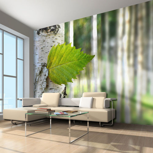 Fotótapéta - Birch leaf