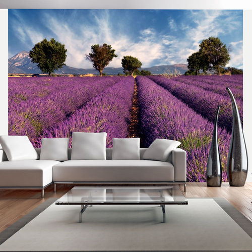 Fotótapéta - Lavender field in Provence. France