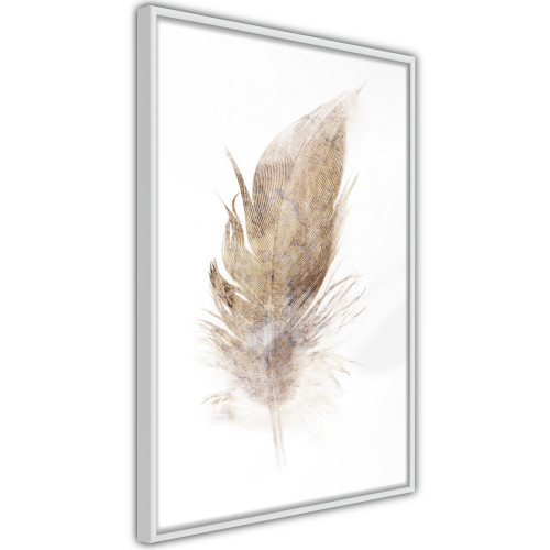 Plakát - Lost Feather (Beige)