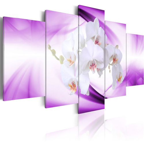 Kép - Orchids are a  wonderful plant