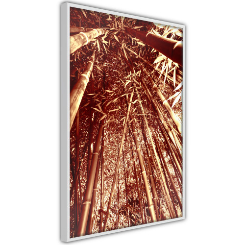 Plakát - Asian Forest