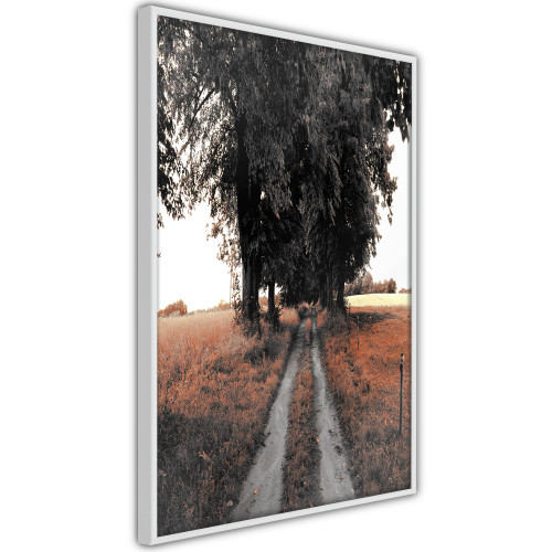Plakát - Field Path
